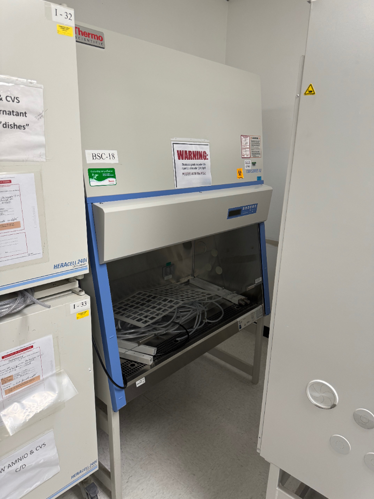 Image of Thermo 1300 Series A2 4' BioSafety Cabinet